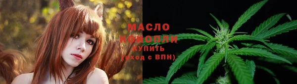 твердый Михайлов
