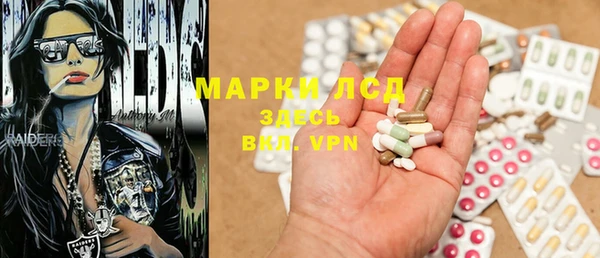 твердый Михайлов