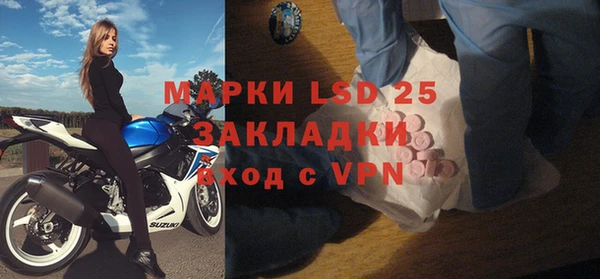 твердый Михайлов