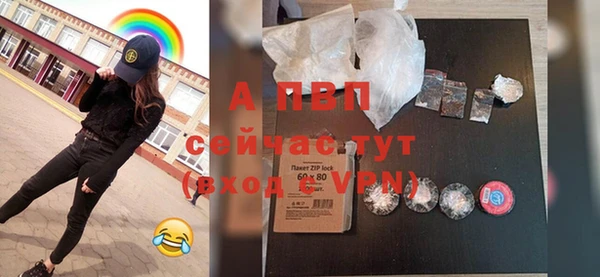 твердый Михайлов
