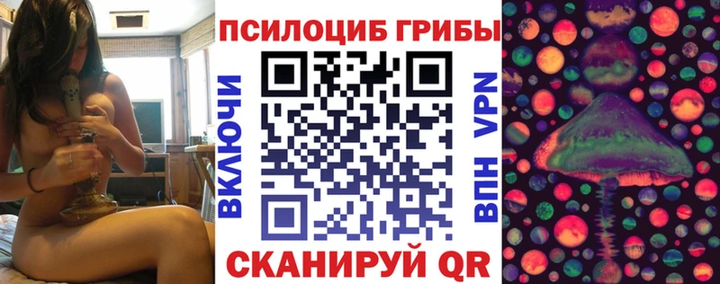 Псилоцибиновые грибы мицелий  где найти наркотики  Морозовск 