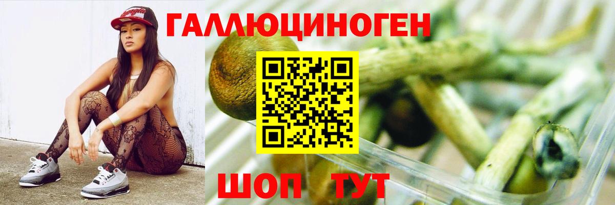 Морозовск  Псилоцибиновые грибы Psilocybine cubensis  Вход с VPN 